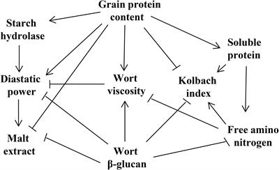 Genetic Analysis and Molecular Breeding Applications of Malting Quality QTLs in Barley